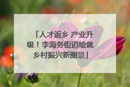 人才返乡 产业升级！李海务街道绘就乡村振兴新图景
