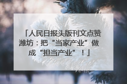 人民日报头版刊文点赞潍坊：把“当家产业”做成“担当产业”！