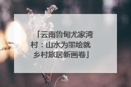 云南鲁甸尤家湾村：山水为墨绘就乡村旅居新画卷