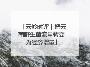 云岭时评｜把云南野生菌流量转变为经济增量