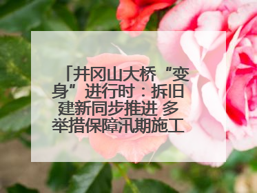 井冈山大桥“变身”进行时：拆旧建新同步推进 多举措保障汛期施工（图）