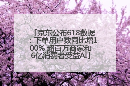 京东公布618数据：下单用户数同比增100% 超百万商家和6亿消费者受益AI