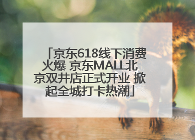京东618线下消费火爆 京东MALL北京双井店正式开业 掀起全城打卡热潮