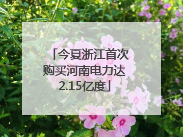 今夏浙江首次购买河南电力达2.15亿度
