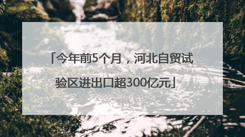 今年前5个月，河北自贸试验区进出口超300亿元