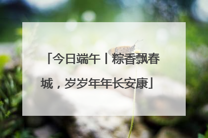 今日端午丨粽香飘春城，岁岁年年长安康