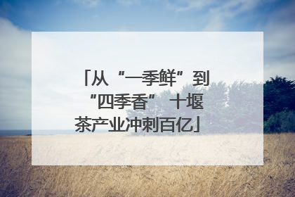 从“一季鲜”到“四季香” 十堰茶产业冲刺百亿