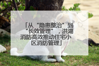 从“隐患整治”到“长效管理”，洪湖消防高效推动住宅小区消防管理