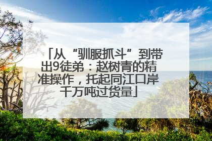 从“驯服抓斗”到带出9徒弟：赵树青的精准操作，托起同江口岸千万吨过货量