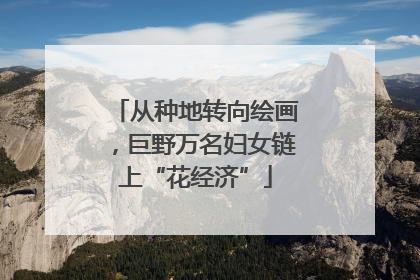 从种地转向绘画，巨野万名妇女链上“花经济”