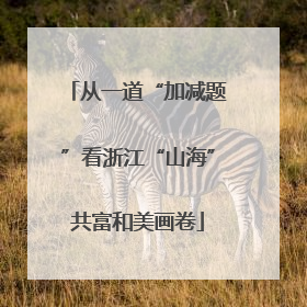 从一道“加减题”看浙江“山海”共富和美画卷