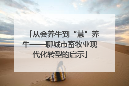 从会养牛到“慧”养牛——聊城市畜牧业现代化转型的启示