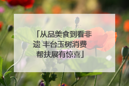 从品美食到看非遗 丰台玉树消费帮扶展有惊喜