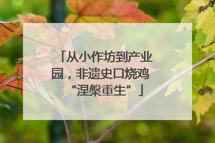 从小作坊到产业园，非遗史口烧鸡“涅槃重生”