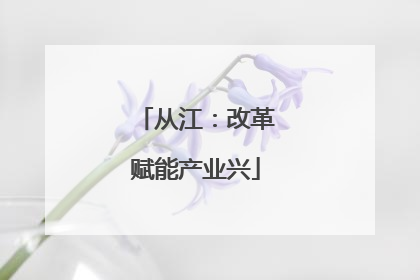从江：改革赋能产业兴