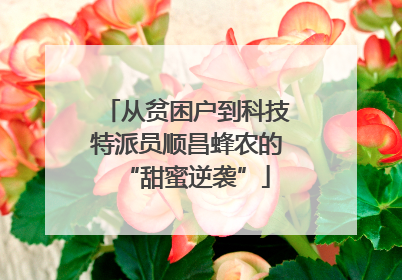 从贫困户到科技特派员顺昌蜂农的“甜蜜逆袭”