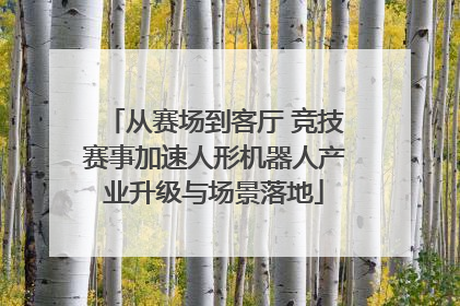 从赛场到客厅 竞技赛事加速人形机器人产业升级与场景落地