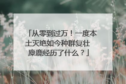 从零到过万！一度本土灭绝如今种群复壮 麋鹿经历了什么？