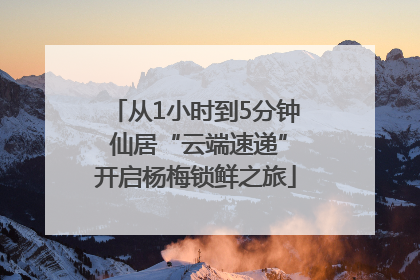 从1小时到5分钟 仙居“云端速递”开启杨梅锁鲜之旅
