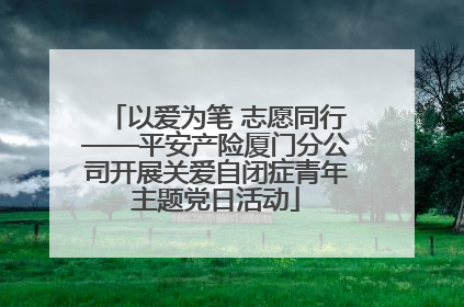 以爱为笔 志愿同行——平安产险厦门分公司开展关爱自闭症青年主题党日活动