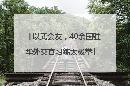 以武会友，40余国驻华外交官习练太极拳