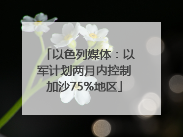 以色列媒体：以军计划两月内控制加沙75%地区
