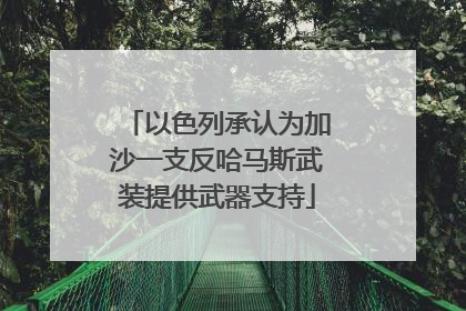以色列承认为加沙一支反哈马斯武装提供武器支持