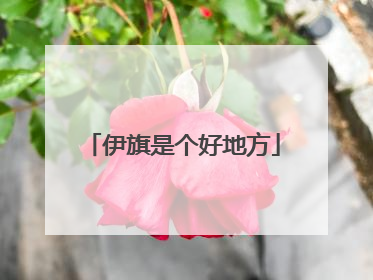 伊旗是个好地方