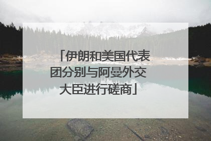 伊朗和美国代表团分别与阿曼外交大臣进行磋商