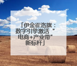 伊金霍洛旗：数字引擎激活“电商+产业带”新标杆