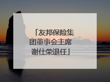 友邦保险集团董事会主席谢仕荣退任