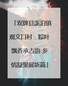 双牌县泷泊镇观文口村：粽叶飘香承古韵 乡情凝聚展新篇