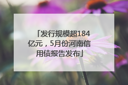 发行规模超184亿元，5月份河南信用债报告发布
