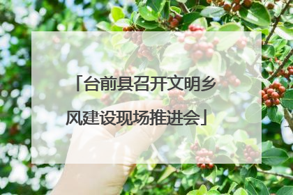 台前县召开文明乡风建设现场推进会