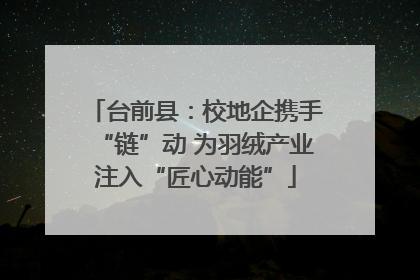 台前县：校地企携手“链”动 为羽绒产业注入“匠心动能”