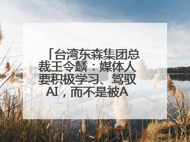 台湾东森集团总裁王令麟：媒体人要积极学习、驾驭AI，而不是被AI利用