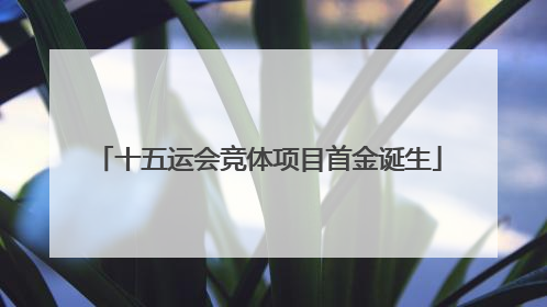 十五运会竞体项目首金诞生