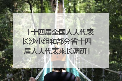 十四届全国人大代表长沙小组和部分省十四届人大代表来长调研