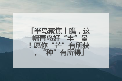 半岛聚焦丨瞧，这一幅青岛好“丰”景！愿你“芒”有所获，“种”有所得