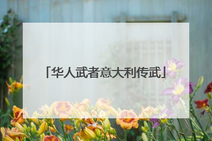 华人武者意大利传武