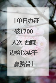 单日办证破1700人次 西藏边检以实干赢赞誉