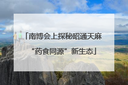 南博会上探秘昭通天麻“药食同源”新生态