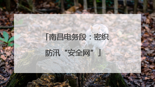 南昌电务段：密织防汛“安全网”