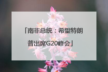 南非总统:希望特朗普出席G20峰会