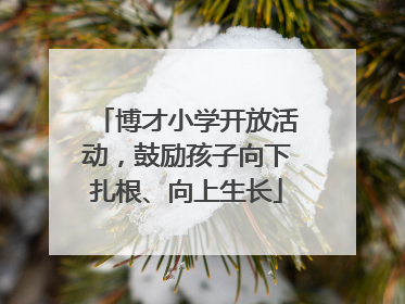 博才小学开放活动，鼓励孩子向下扎根、向上生长