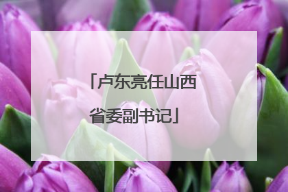 卢东亮任山西省委副书记