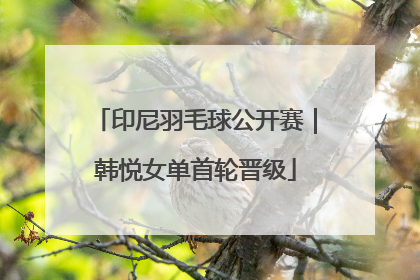印尼羽毛球公开赛｜韩悦女单首轮晋级