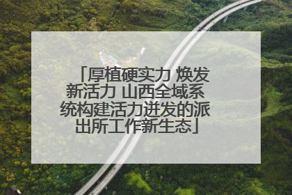 厚植硬实力 焕发新活力 山西全域系统构建活力迸发的派出所工作新生态