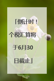 倒计时！个税汇算将于6月30日截止