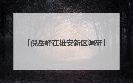 倪岳峰在雄安新区调研